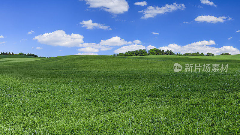 全景春天景观XXXXL 47mpix -绿色的田野，蓝色的天空